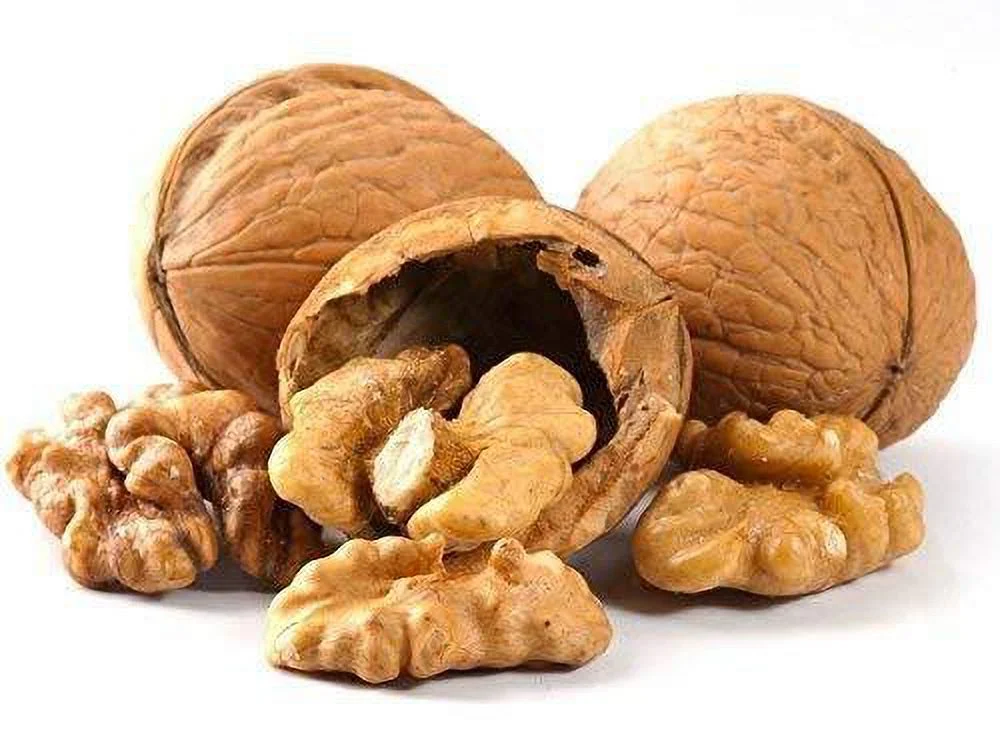 In-Shell Walnuts~North 1 LB FRESH CROP