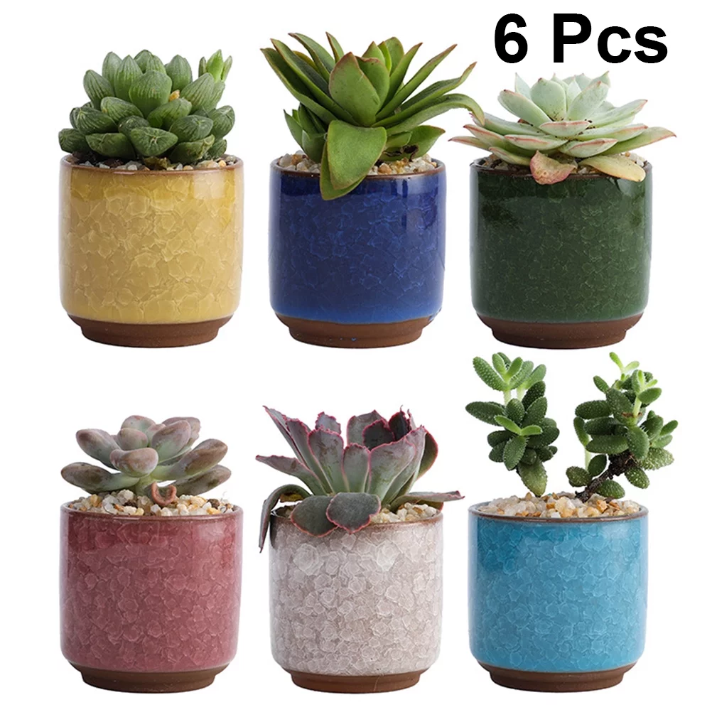 Gongxipen 6pcs Ceramic Succulent Planter Pots Coloured Ceramic Flower Pot for Home Office Decor (Dark Blue, Red, White, Yellow, Green, Light Blue without Plant)