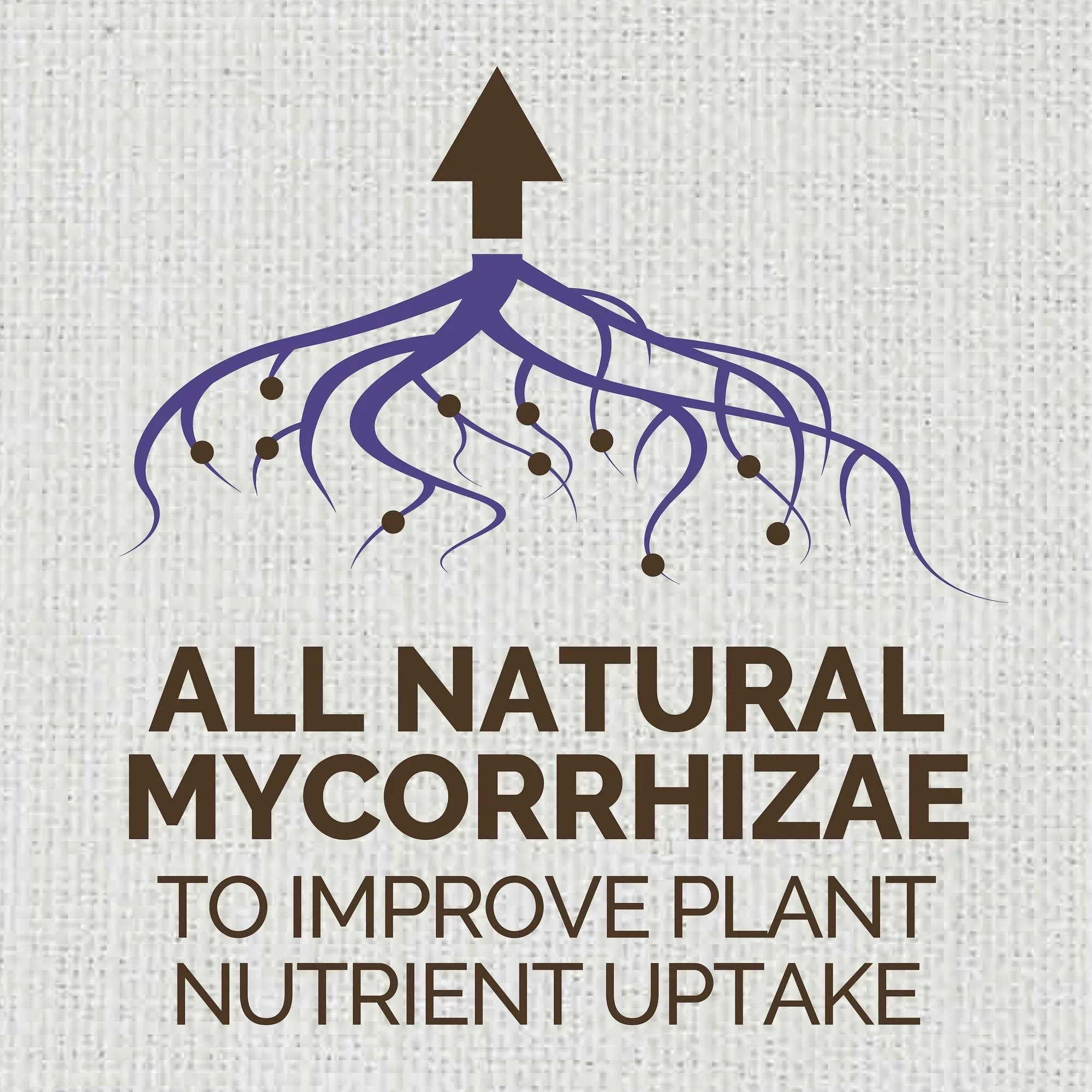 Pennington Ultra Grow Parsley & Potting Soil Bundle 2.5 lb, 8 Qt. Bag