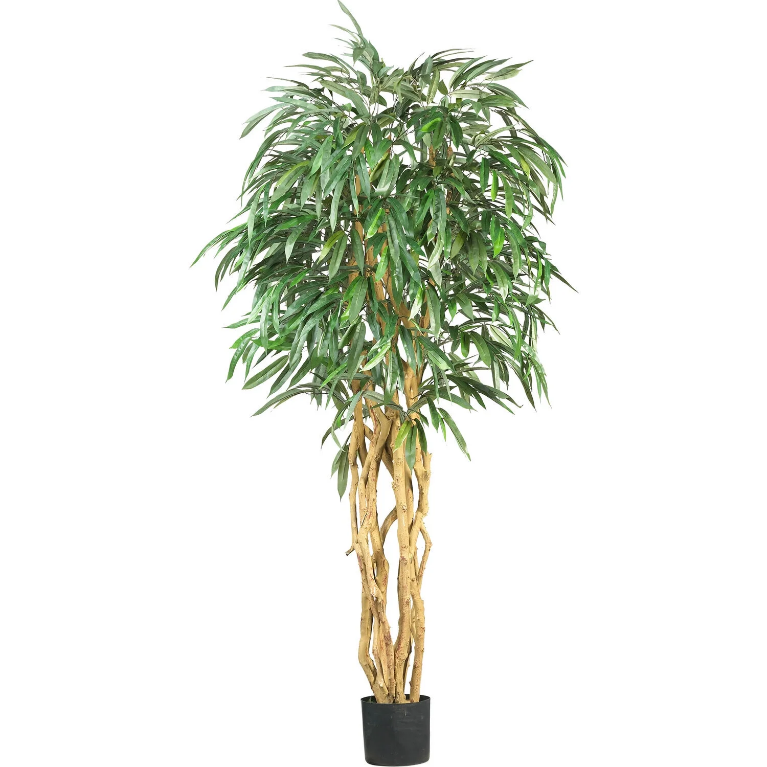 HomeStock 6Ft. Weeping Eclectic Elegance Silk Tree