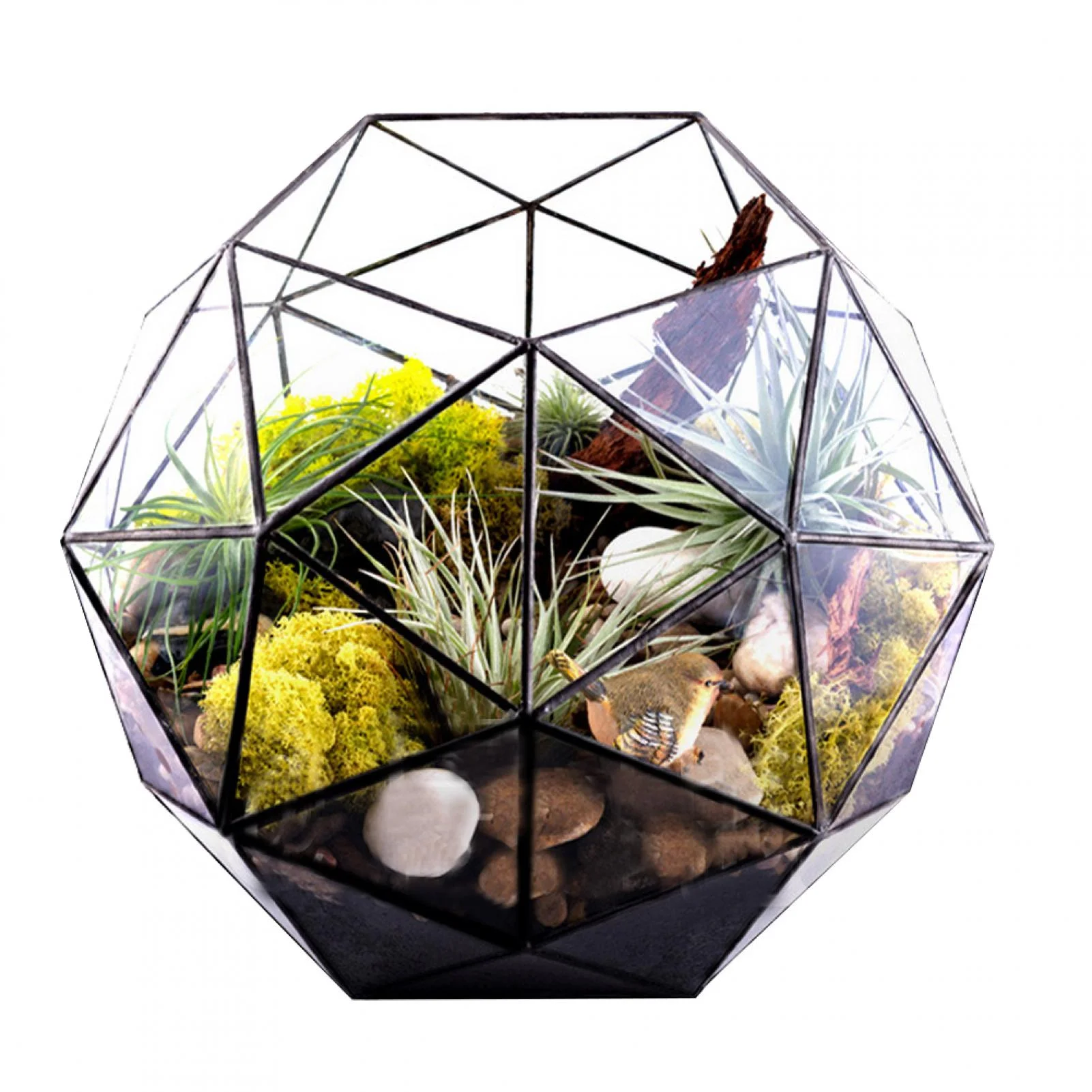 Wincal Geometric Pentagon Ball Shape Terrarium, Elegant Geometric Flower Pot, Glass Display Planter Plant Container Holder, Landscape Accessories, for Fern Moss Succulent
