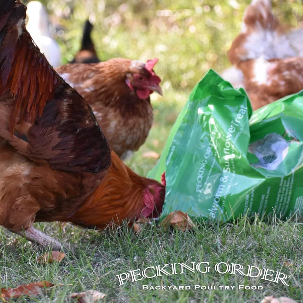 Mealworm & Sunflower 8 LB