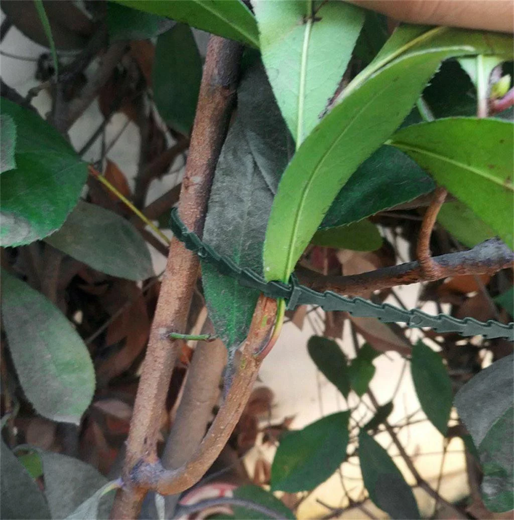 MVNSFEW Green Gardening Tie Wrap Pot Mark Garden Tool Vine Fixed