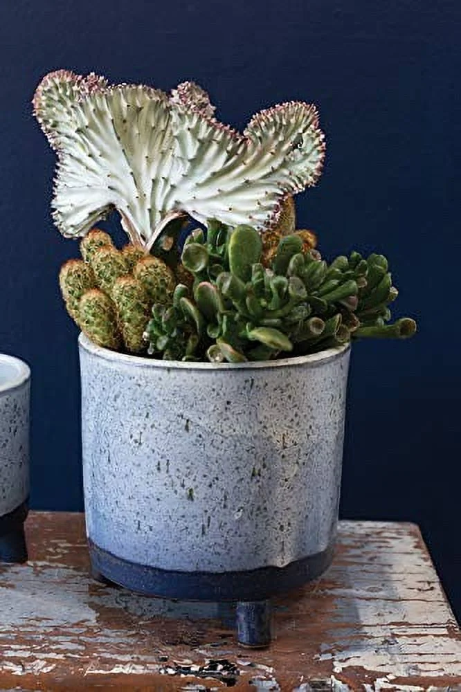 Lova Footed Pots l Blue Ceramic Pots with Stand (4.75