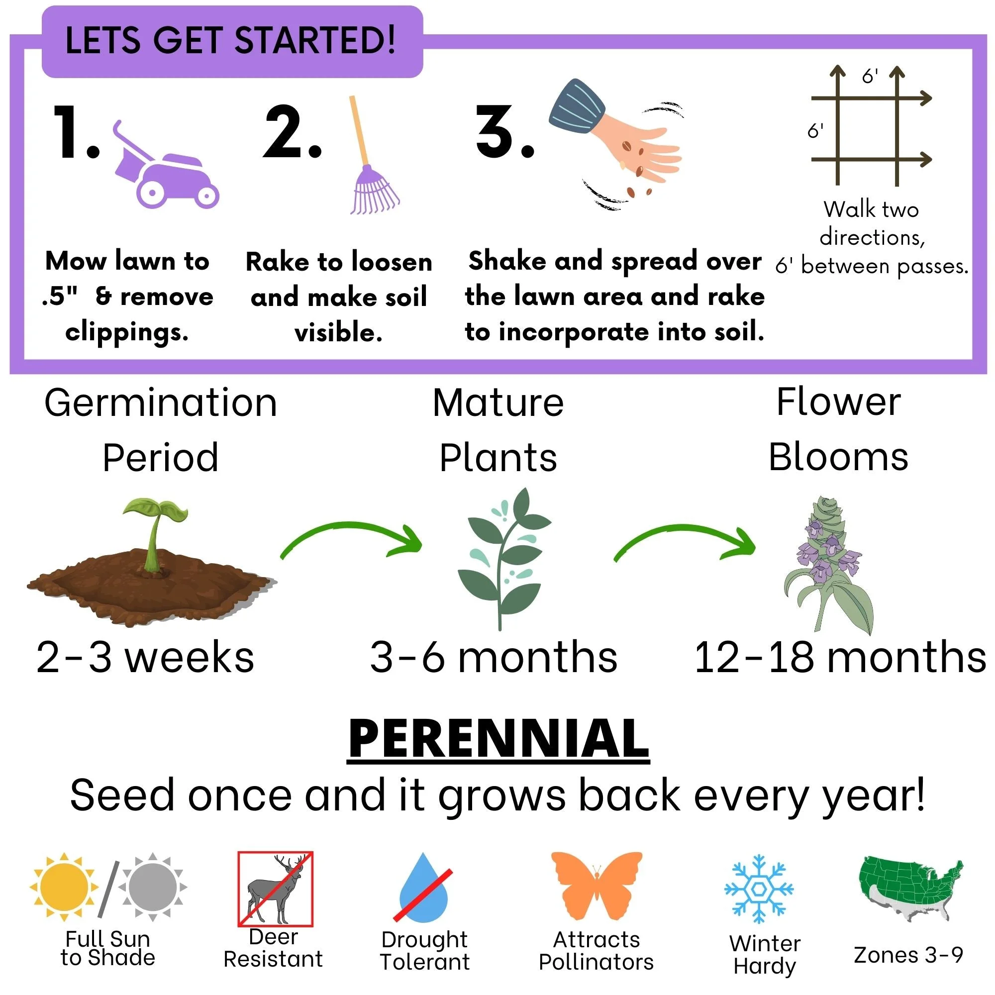 Self-Heal Seed Pouch