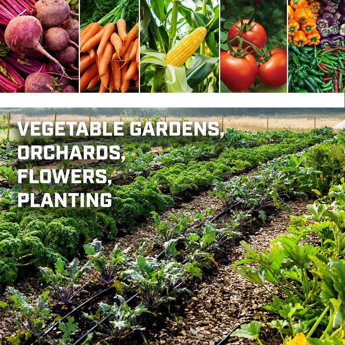 Chapin 8701B: Garden Seeder with Seed Plates and Row Marker