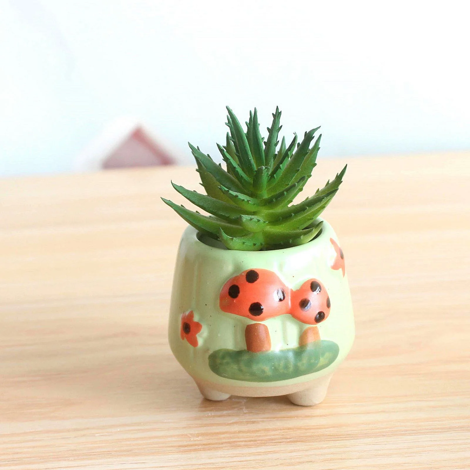 Ceramic Hand-painted Succulent Plant Pot, Thumb Pot, Small Succulent Flower Pot