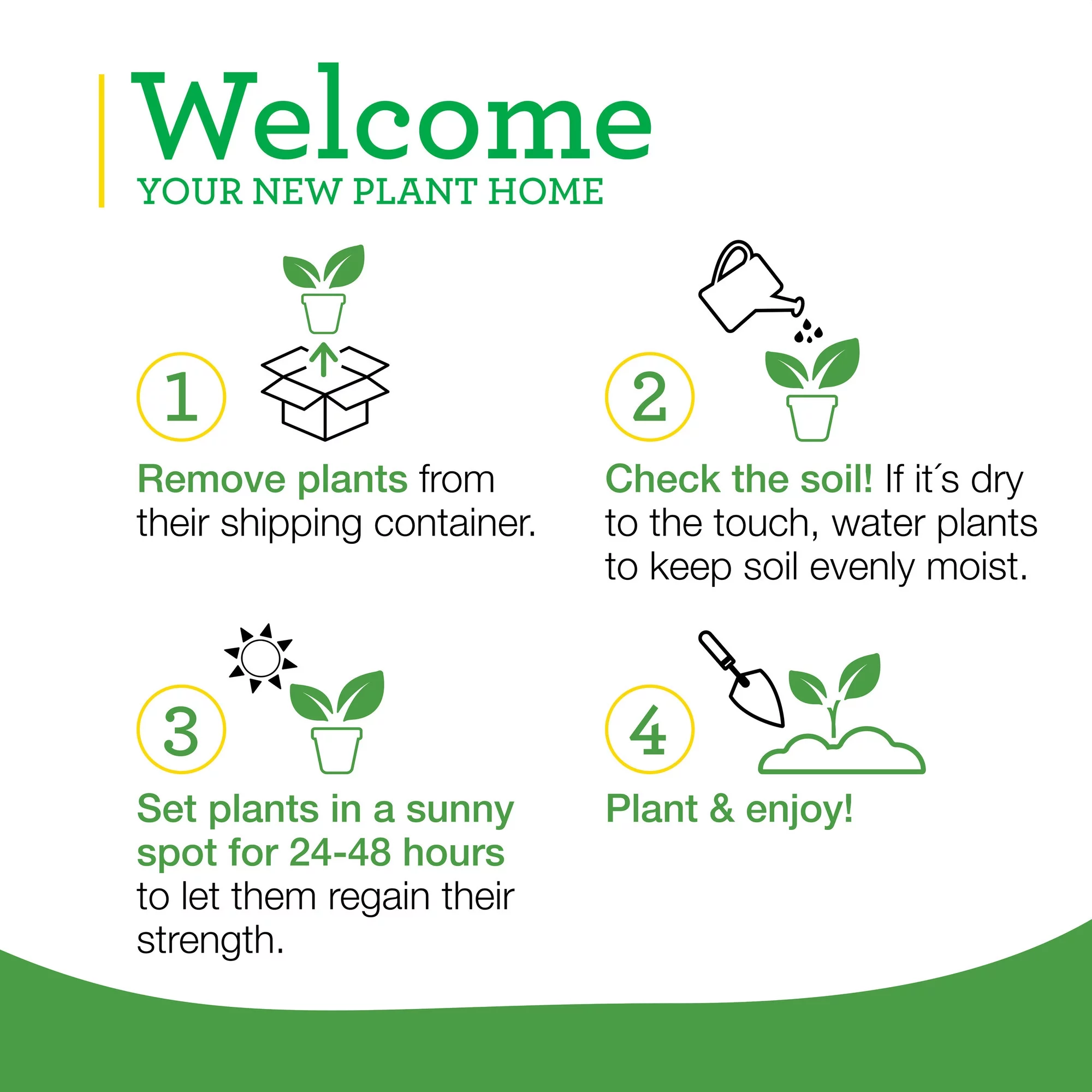 Bonnie Plants Big Boy Tomato 2.5 Gal., Live Plant