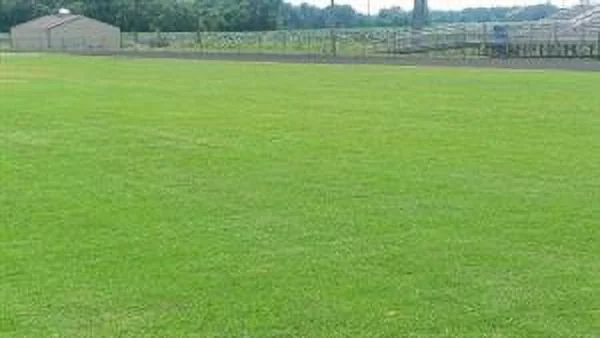 Riviera Bermuda Grass Seed Pail - 1 Lb.