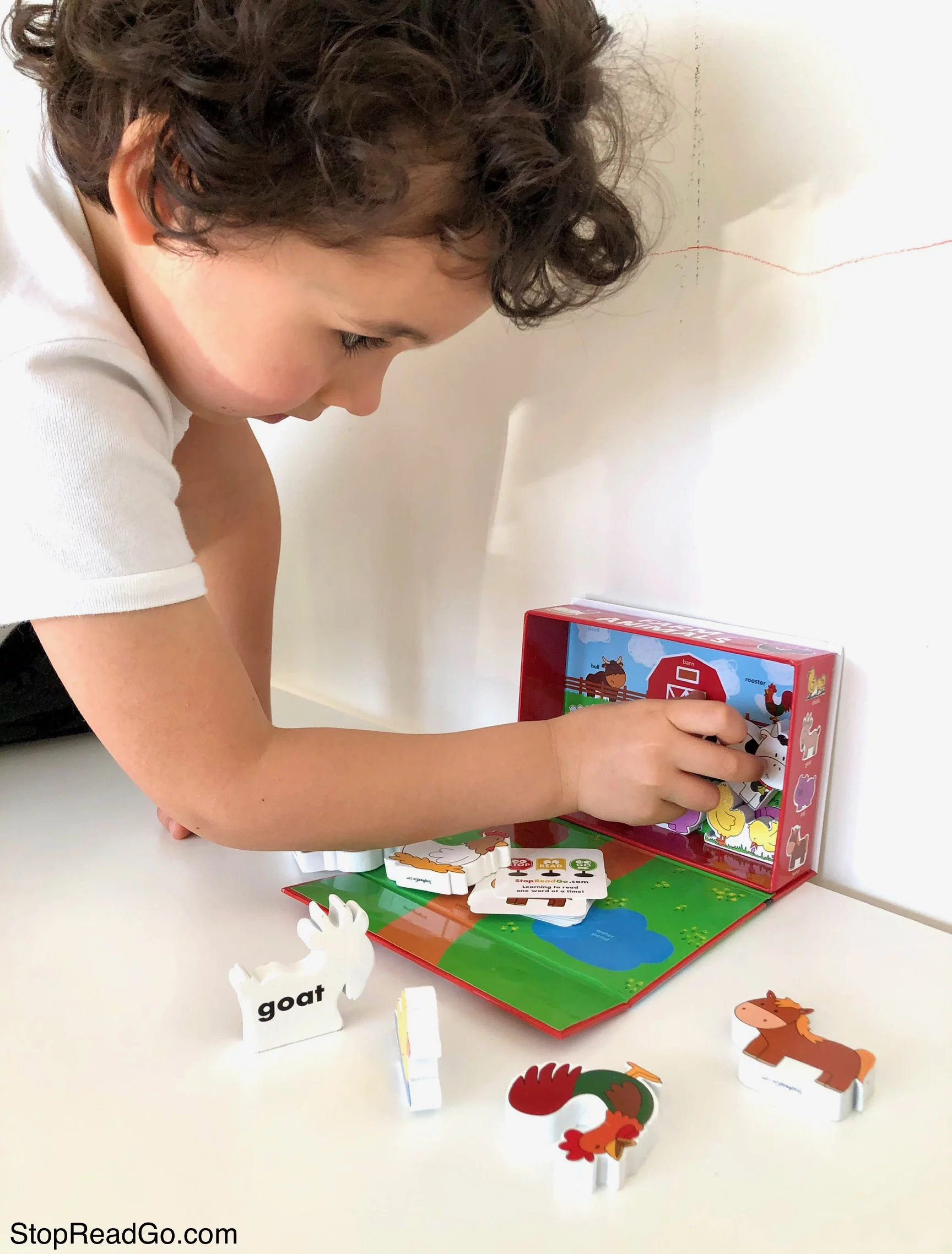 Vocabulary Play Set - Farm Animals