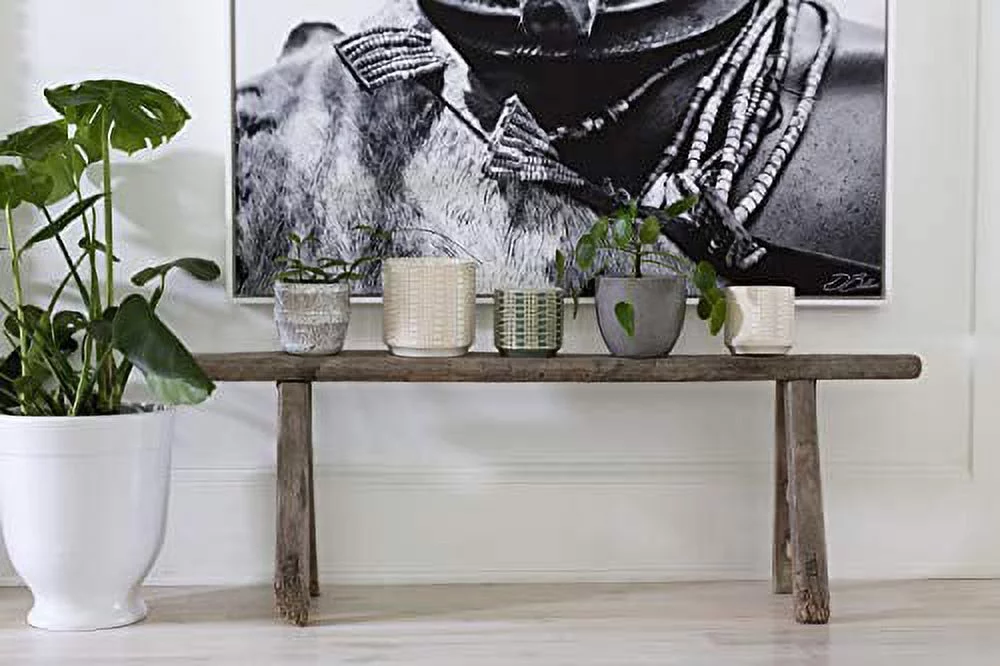 Zati Pot for Plant and Flowers l White Ceramic Pots (6.5