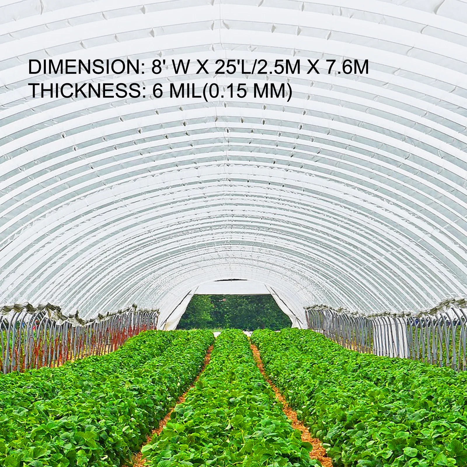 SKYSHALO Greenhouse Film 8 x 25 Feet, Greenhouse Polyethylene Film 6 Mil, Clear Greenhouse Plastic Greenhouse Plastic Film UV Resistant, Polyethylene Film Insulative, Extra Strength