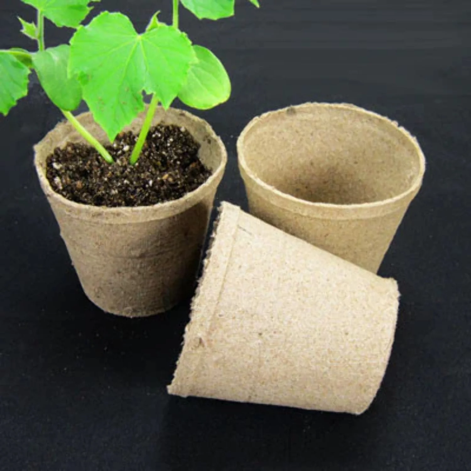 Jiffy 4 Round Pots - 100-Count of Pots