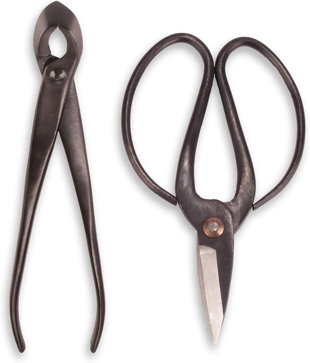 Bonsai Basics Set - 8