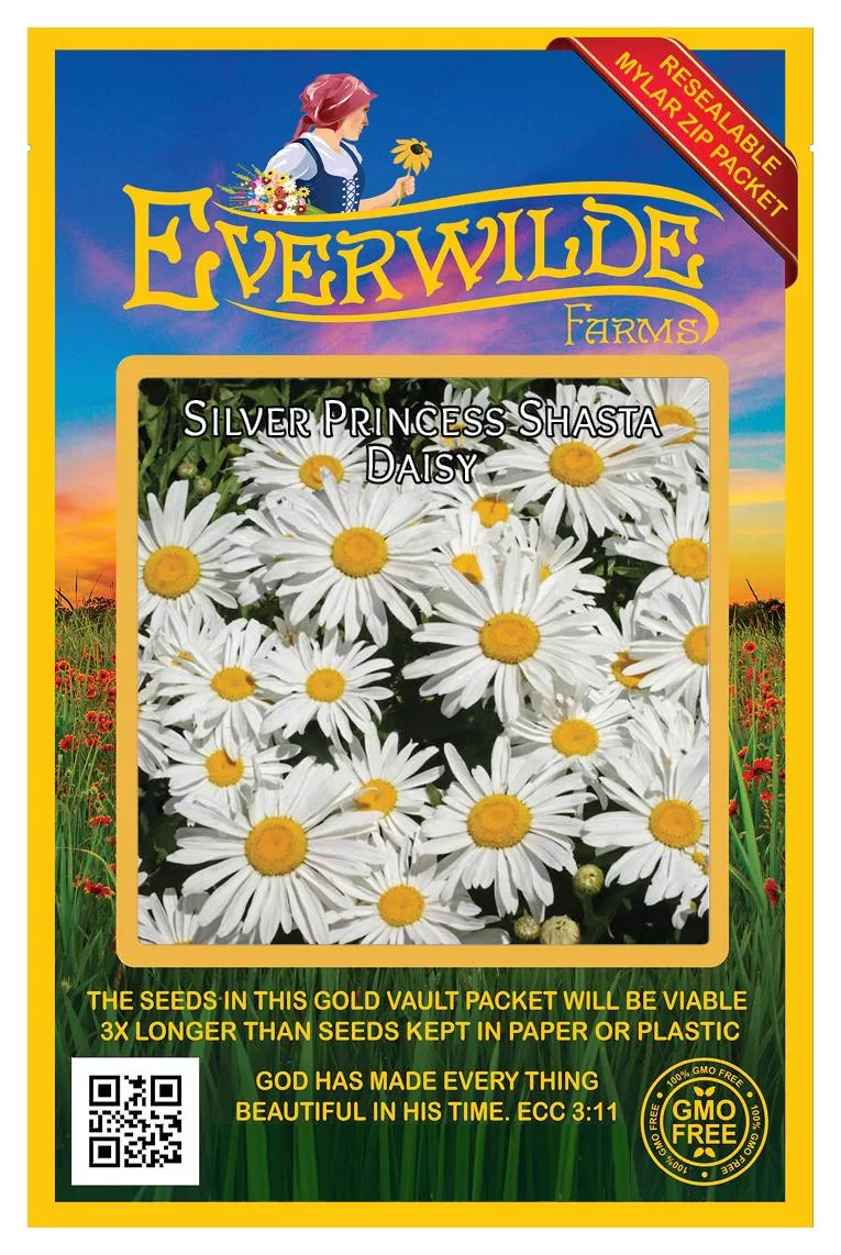 Everwilde Farms - 2000 Silver Princess Shasta Daisy Garden Flower Seeds - Gold Vault Jumbo Bulk Seed Packet