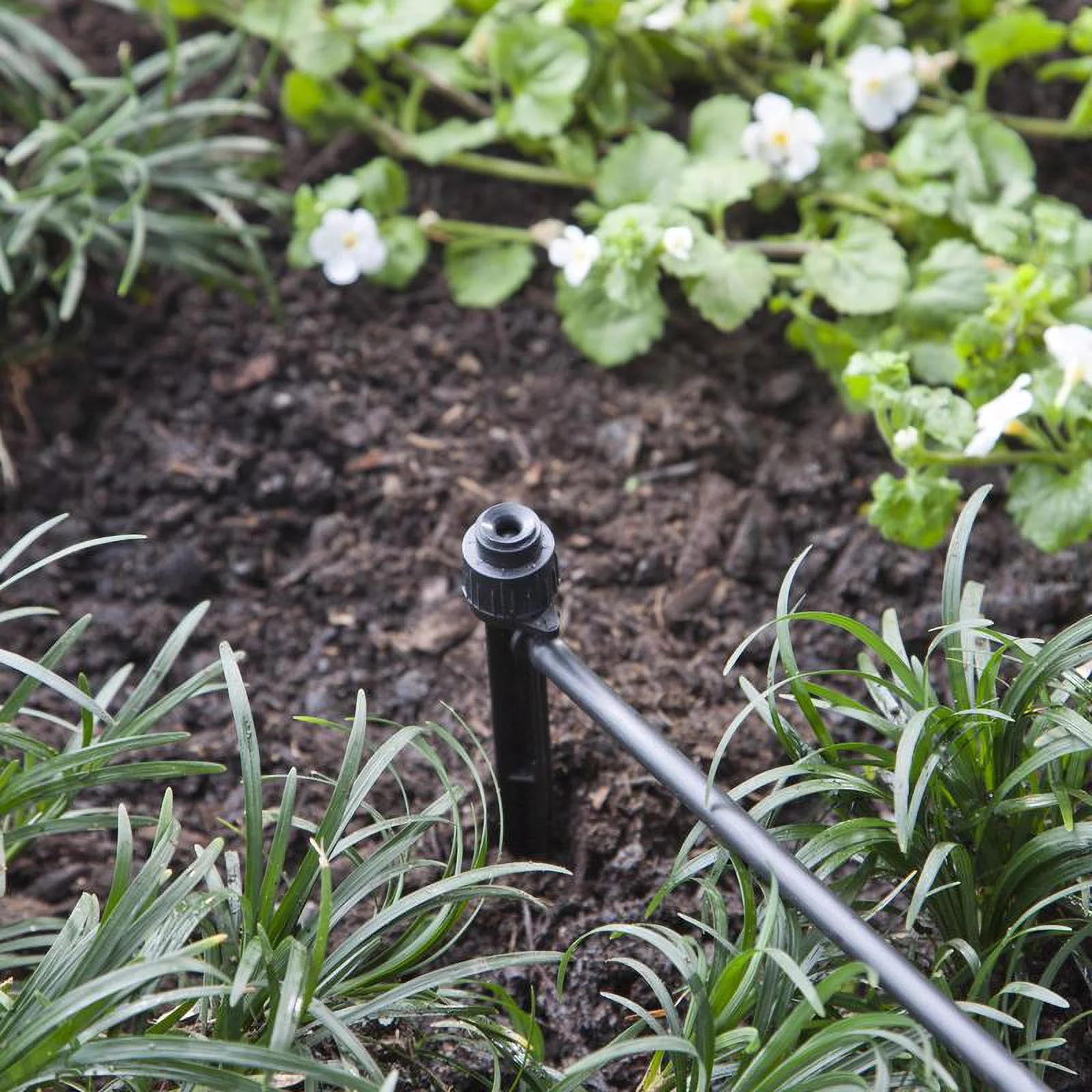 Raindrip  20 gph Full-Circle Drip Irrigation Bubbler