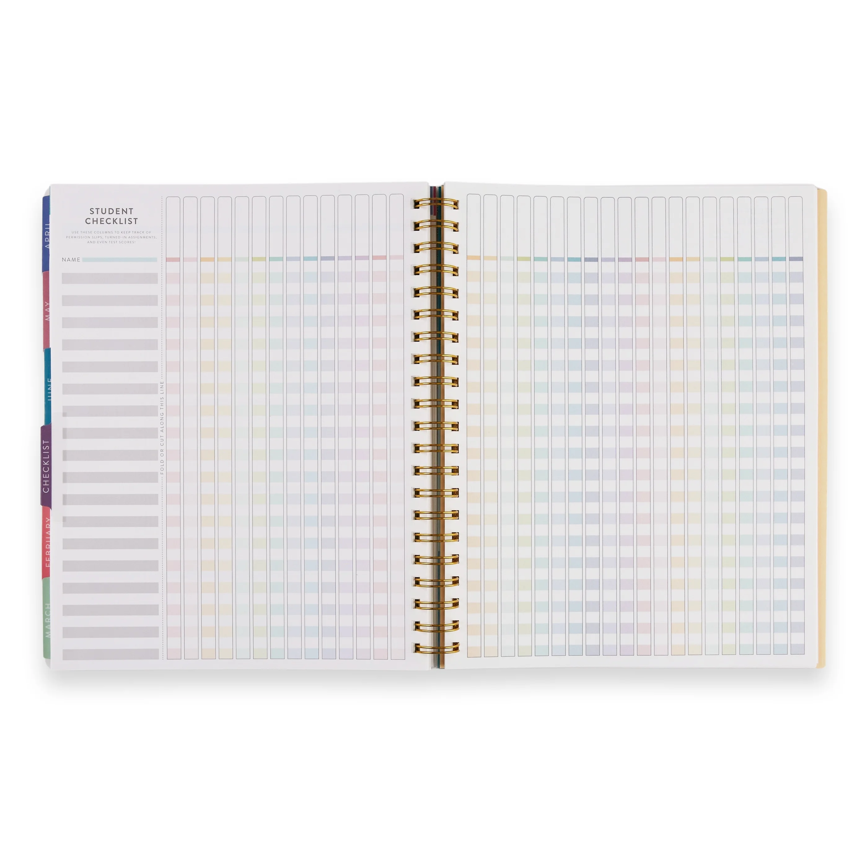 Erin Condren Inspired Collection Large Teacher Planner (July 2024 - June 2025) - School Supplies