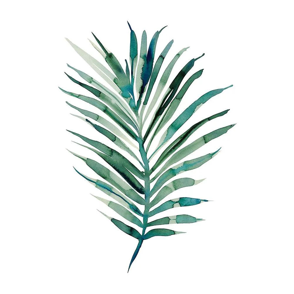 Billinghurst, Marina 11x14 Black Modern Framed Museum Art Print Titled - Areca