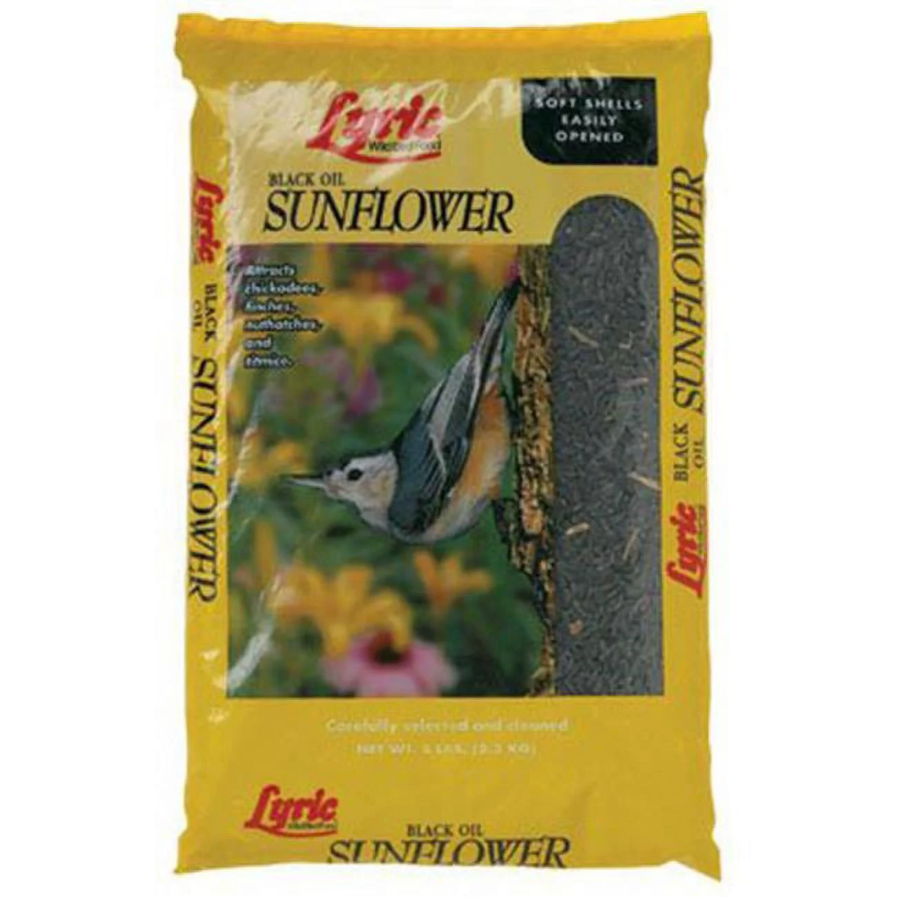 Lebanon Seaboard Black Oil Sunflower