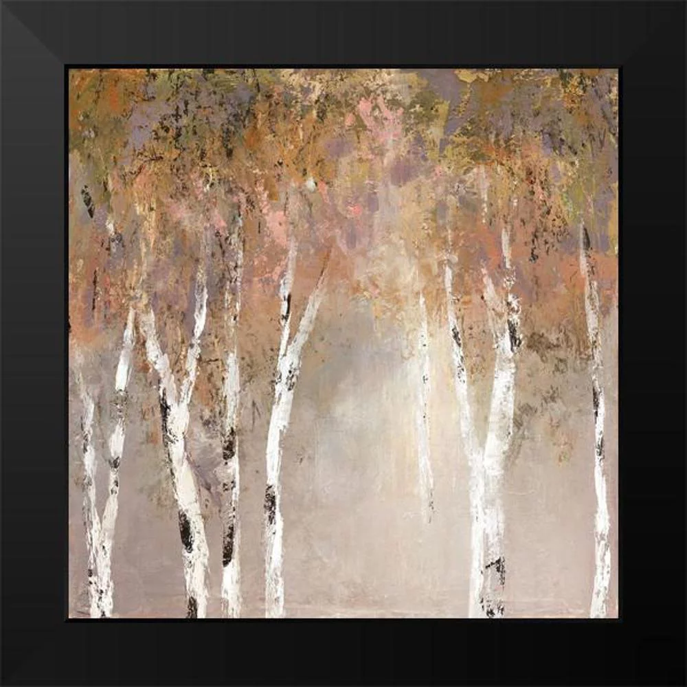 Robinson, Carol 12x12 Black Modern Framed Museum Art Print Titled - Sunlit Birch II
