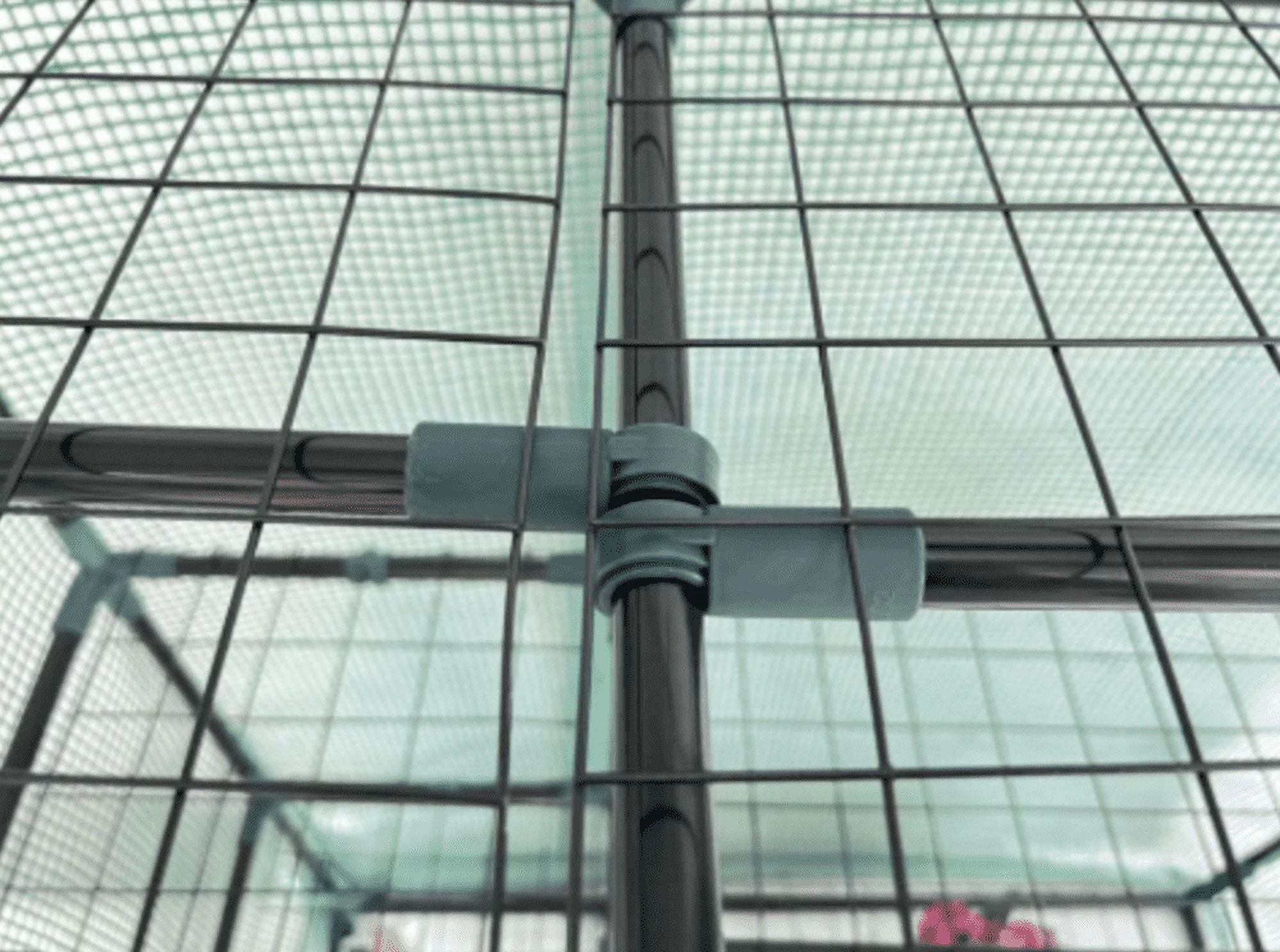 Westerly Greenhouse (40