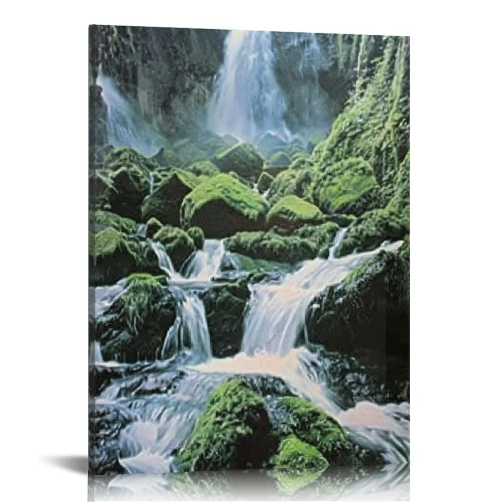 QFMY Waterfall Landsscape Forest Scenery Wall  Art  12x16 in
