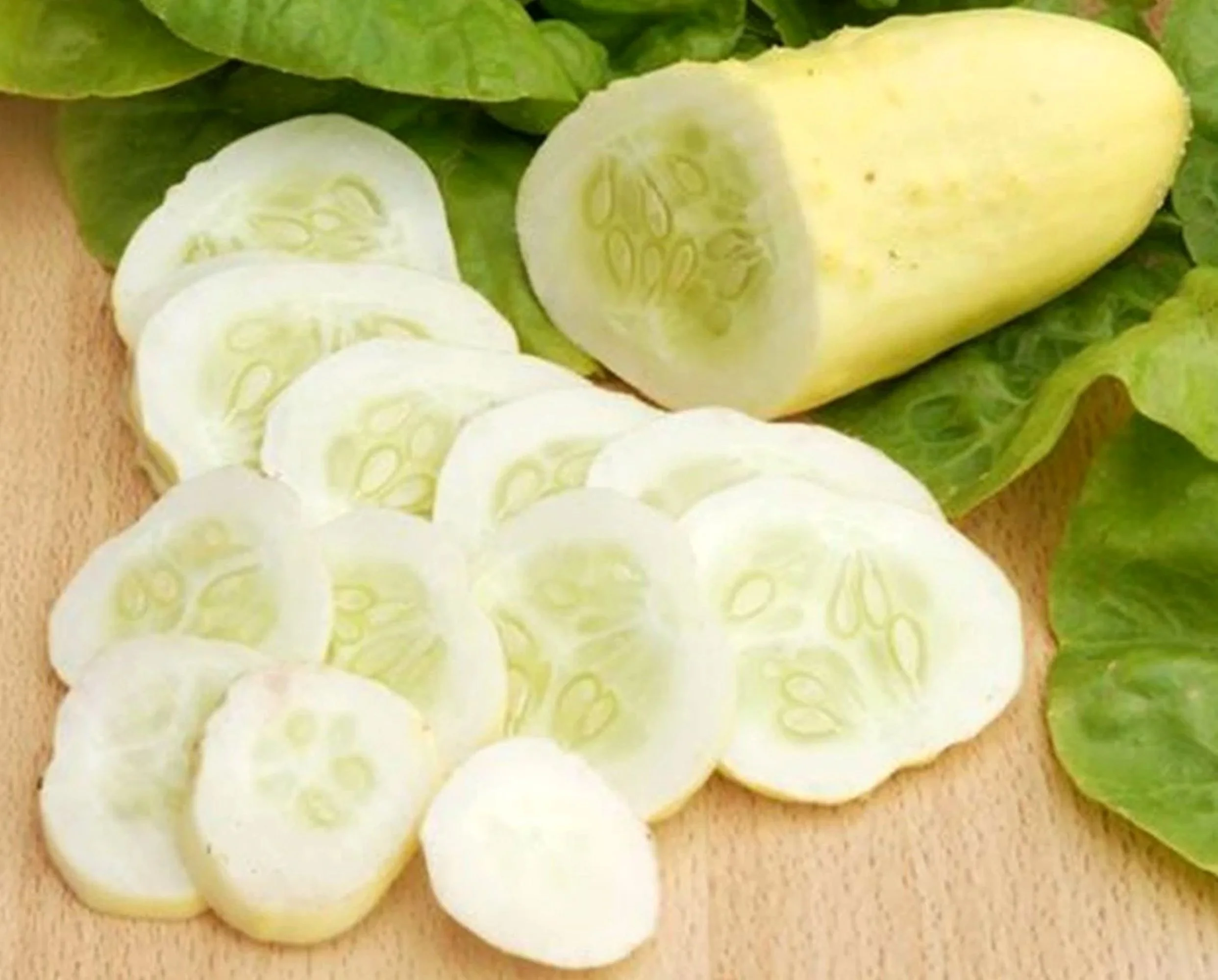 White Wonder Cucumber Seeds/ Annual/ Full Sun/240 Seeds 1/4 oz/ Zellajake Farm and Garden - B142