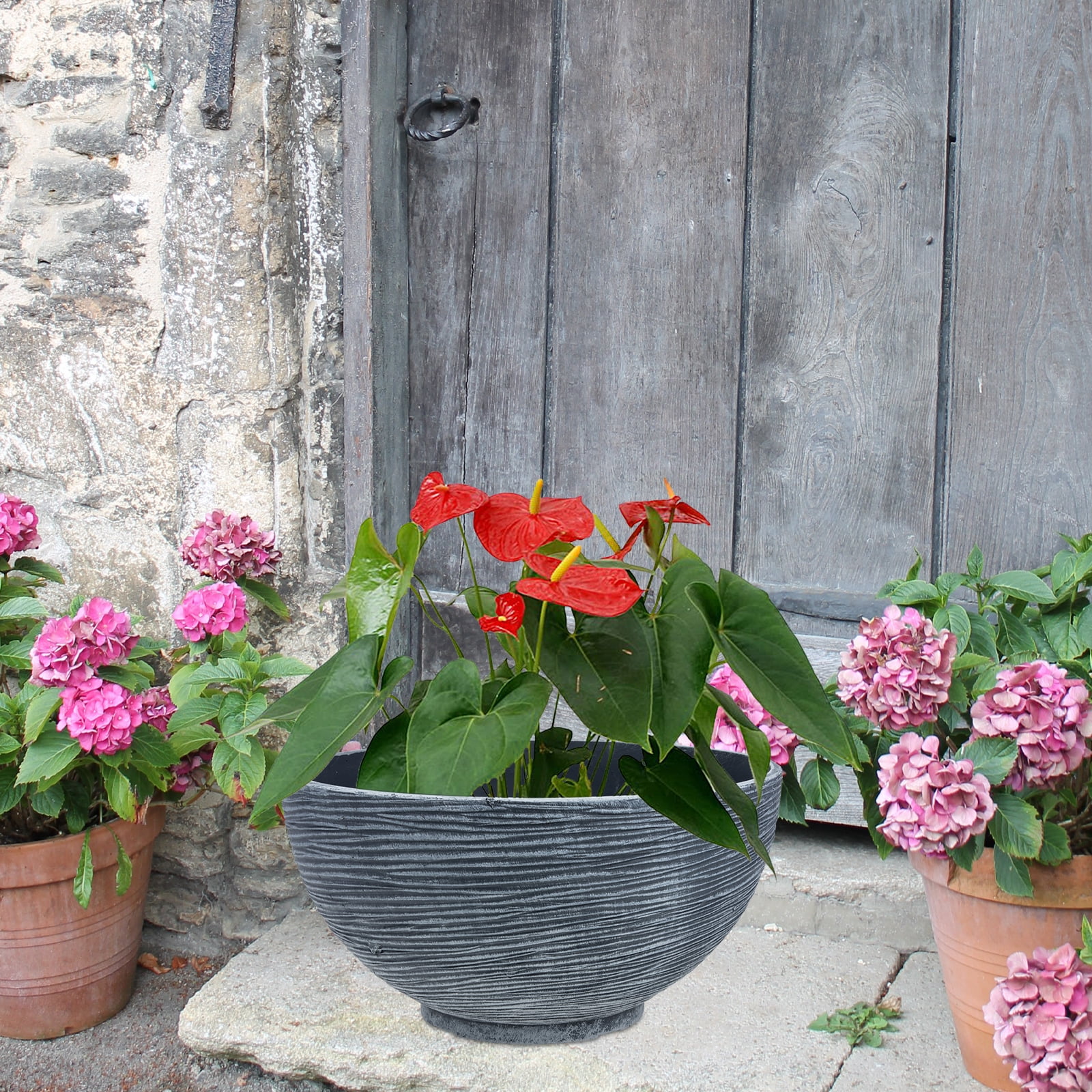 Hydroponic Flower Pot Desktop Flower Planting Pot Water Lily Hydroponic Planter