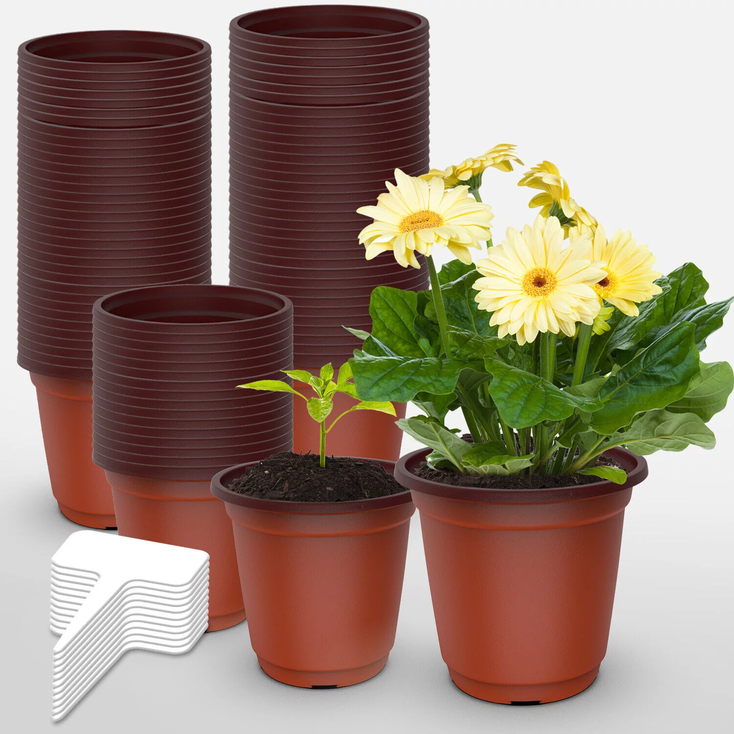 100 PCS Plastic Plant Flower Pot Nursery Seedlings Pot Container w/10*Label USA