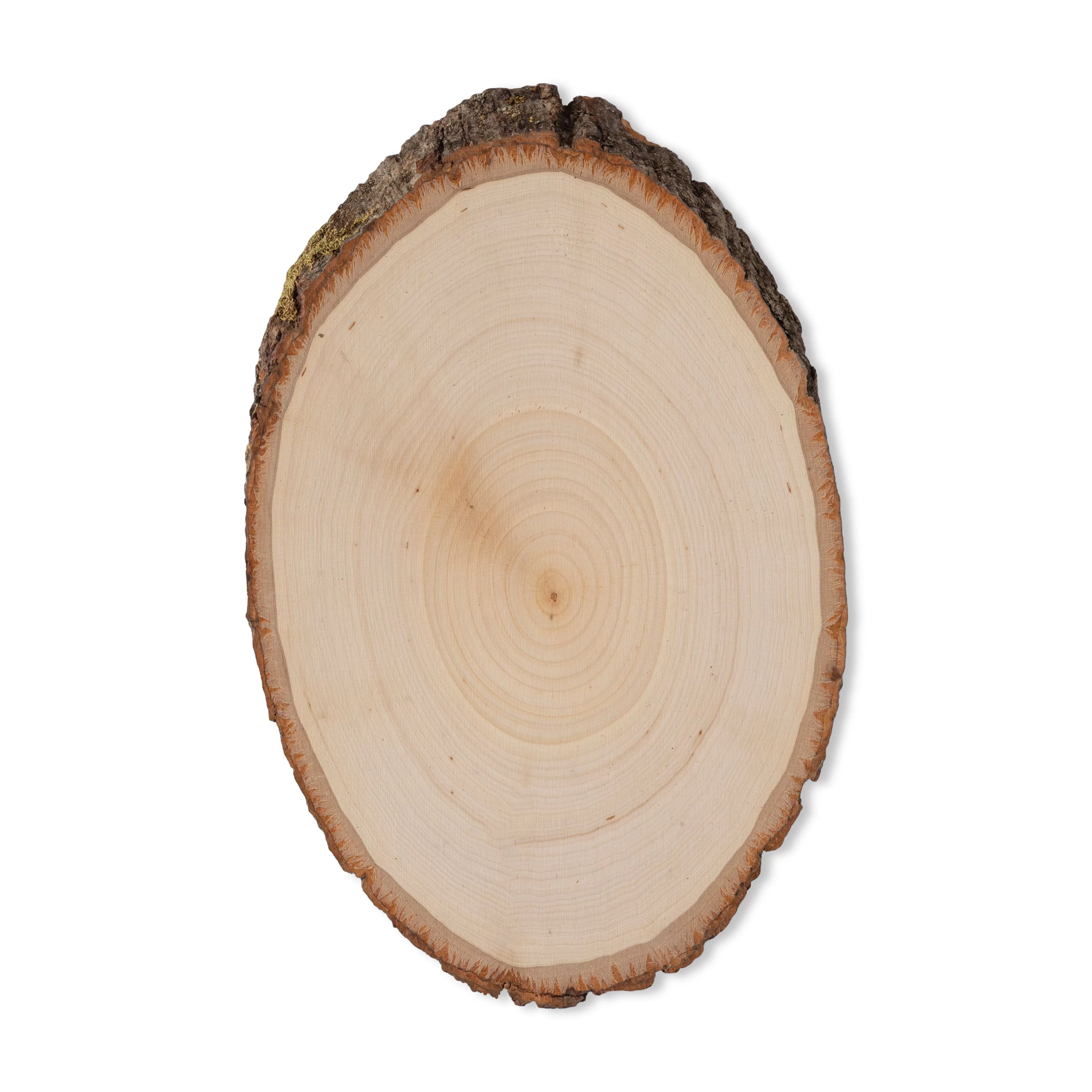 Walnut Hollow Basswood Country Round Plaque-5