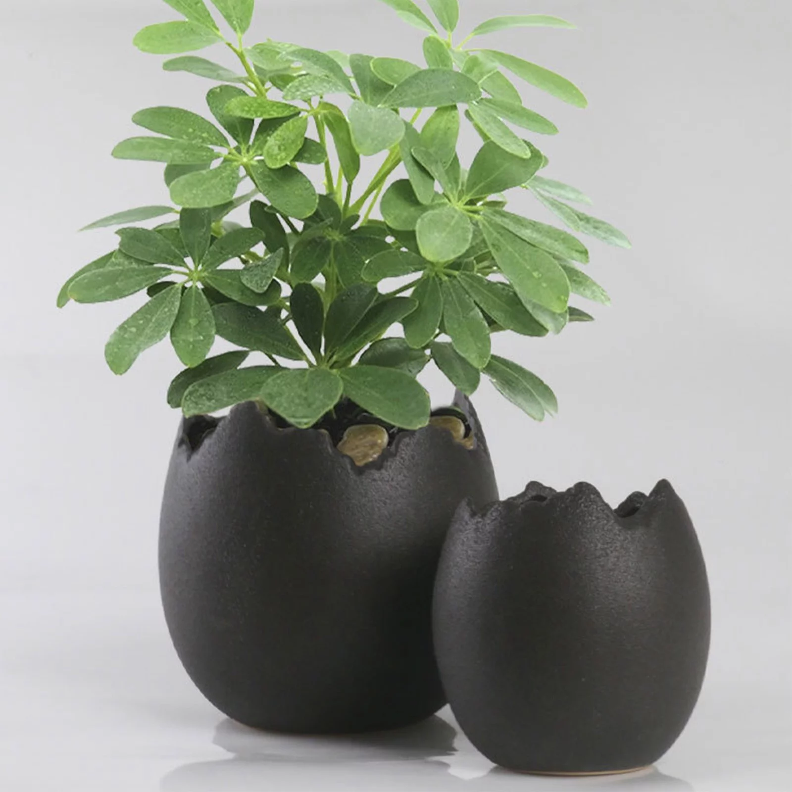 Bnnlsa Plant Pots with Drainage Meaty Flowerpot Ceramic Potted Rough Pottery Breathable Simple Personality Eggshell Meat Plant Old Pile Flowerpot