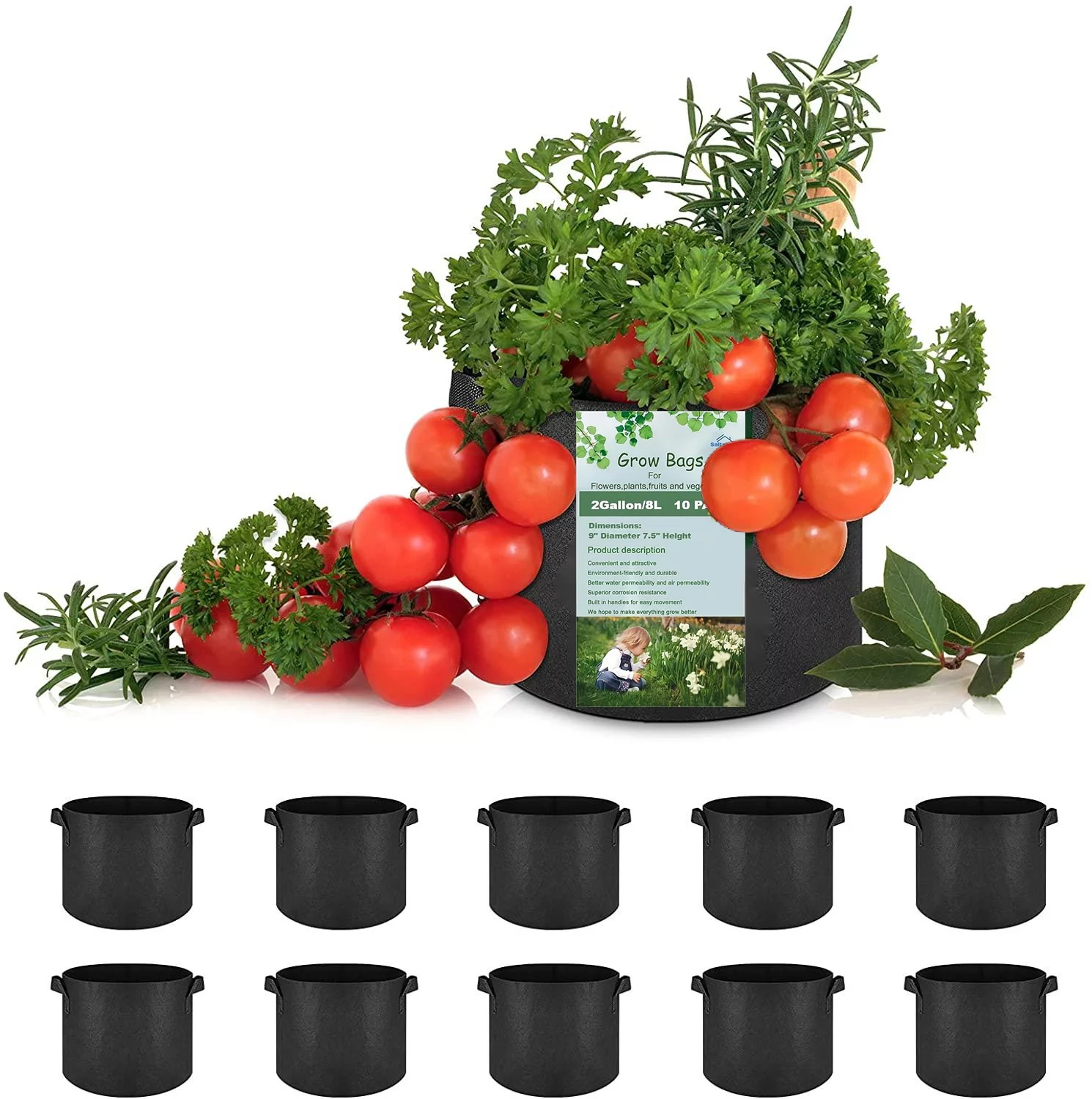 ZARLBOL 10 Pack 2 Gallon Plant Grow Bags, Heavy Duty Nonwoven Plant Fabric Pots with Handles