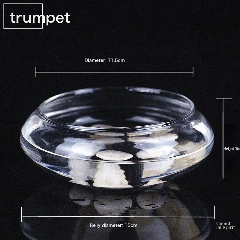 Hydroponic Glass Flower Pot Transparent Bowl Lotus Lotus Copper Coin Grass Pot Cylinder Sleeping Lotus Flower Pot Fish Tank Plant Plant 2 Medium Size (Belly Diameter 20Cm) Intermediate