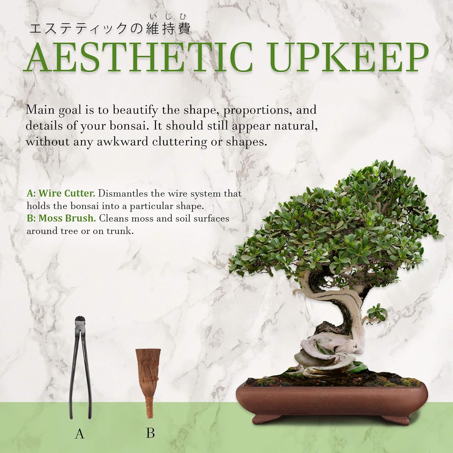 10 Piece Bonsai Advanced Care Set, Shears, Concave Cutter, Cutter, Wire Cutter, Bonsai Trimming, Beginner Friendly - 1 Set