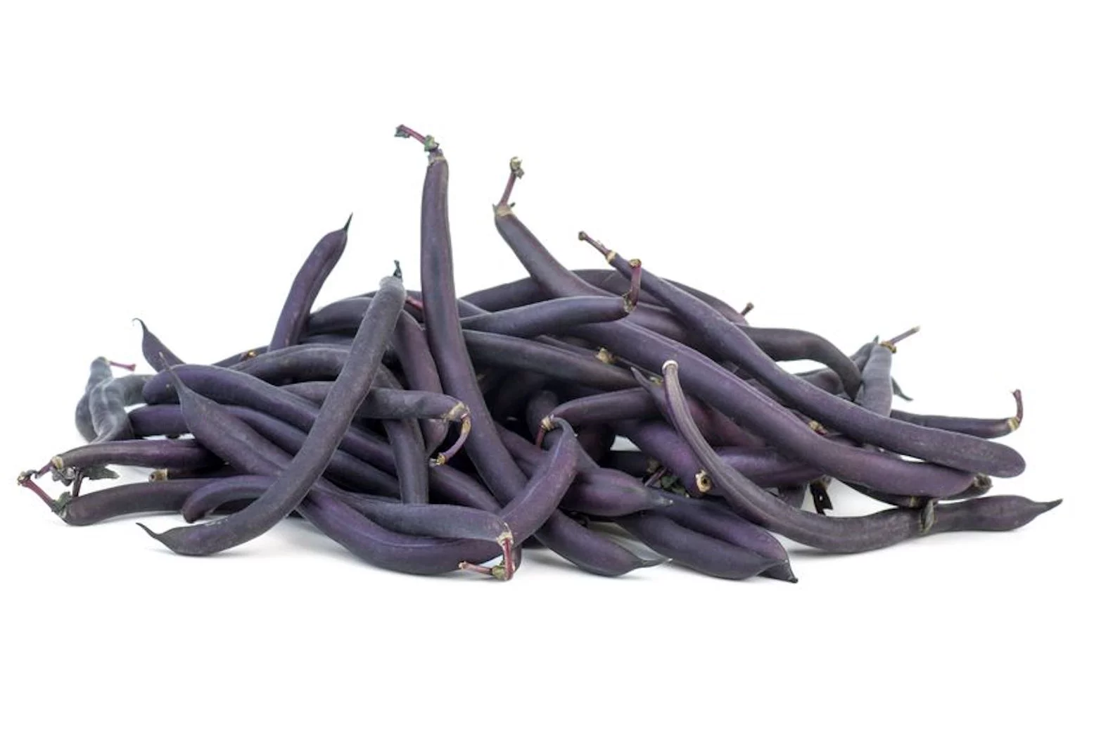 100 Vegetable Seeds -Royal Purple Pod Bush Bean Seed