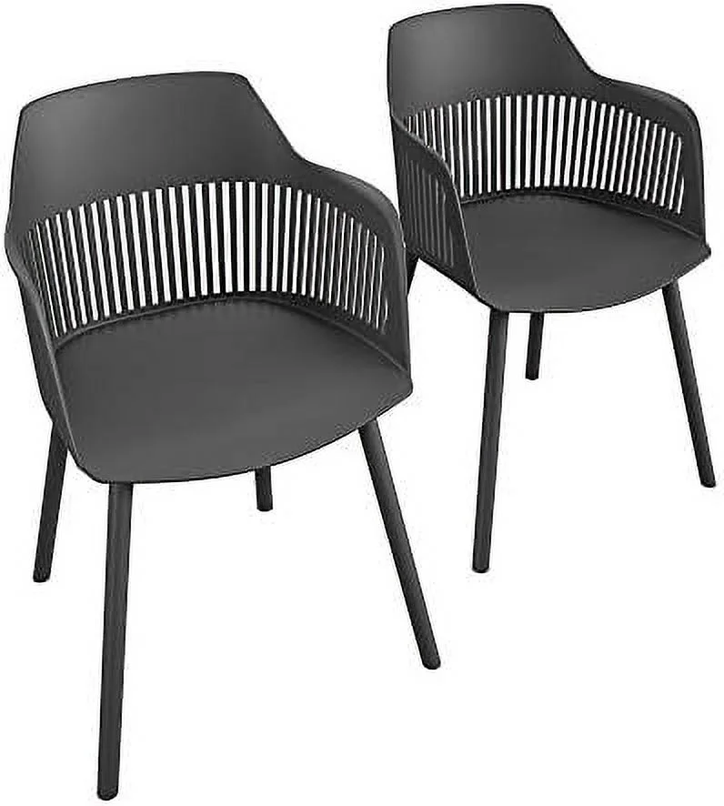CHIUOJN   Camelo Collection  Indoor/Outdoor Resin  2-Pack  Black Dining Chairs  Contoured Back