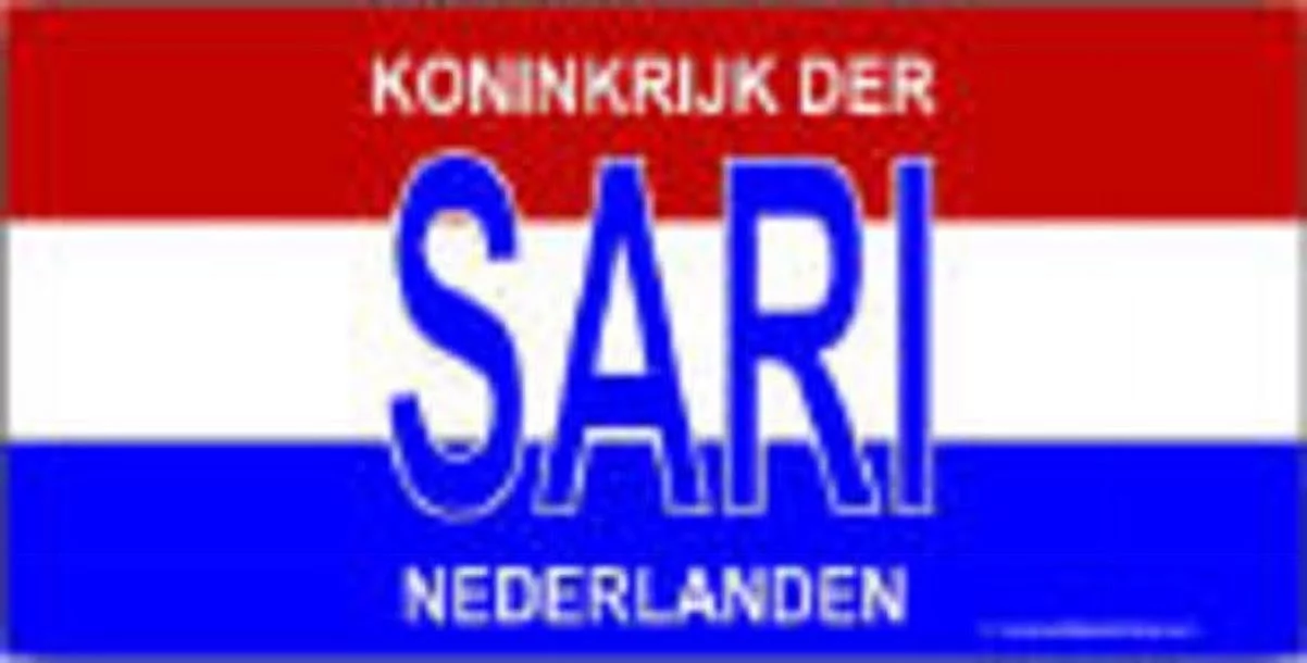 Netherland Look ALike Plate All wording is Free