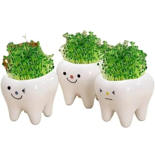 1 | 3 Inch | Small Succulent Ceramic Teeth , Cute Home And Office Decor (All 3 Teeth s)