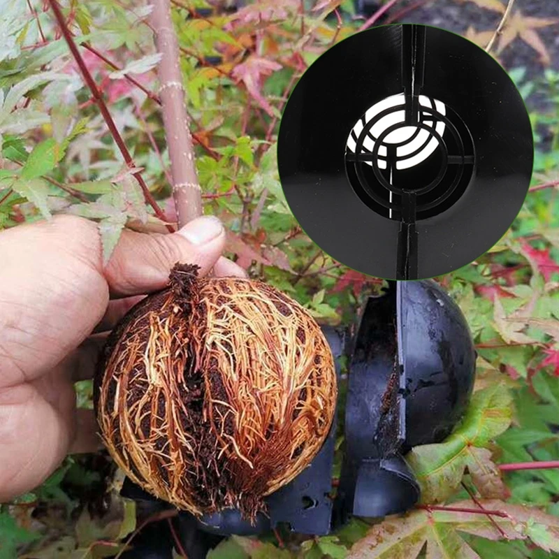 5pcs Reusable Plant Rooting Ball Cutting Grafting Rooting Ball Sapling Propagation Breeding Box Garden Plant Root Growing Box