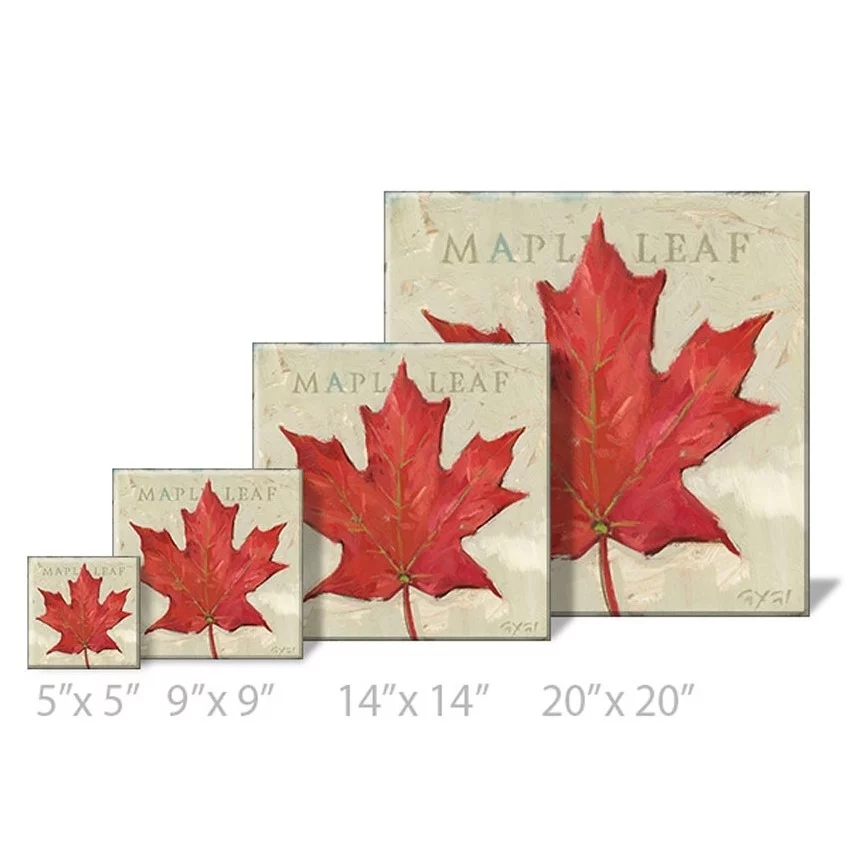 Sullivans Darren Gygi Maple Leaf Canvas, Museum Quality Giclee Print, Gallery Wrapped, Handcrafted in USA 9