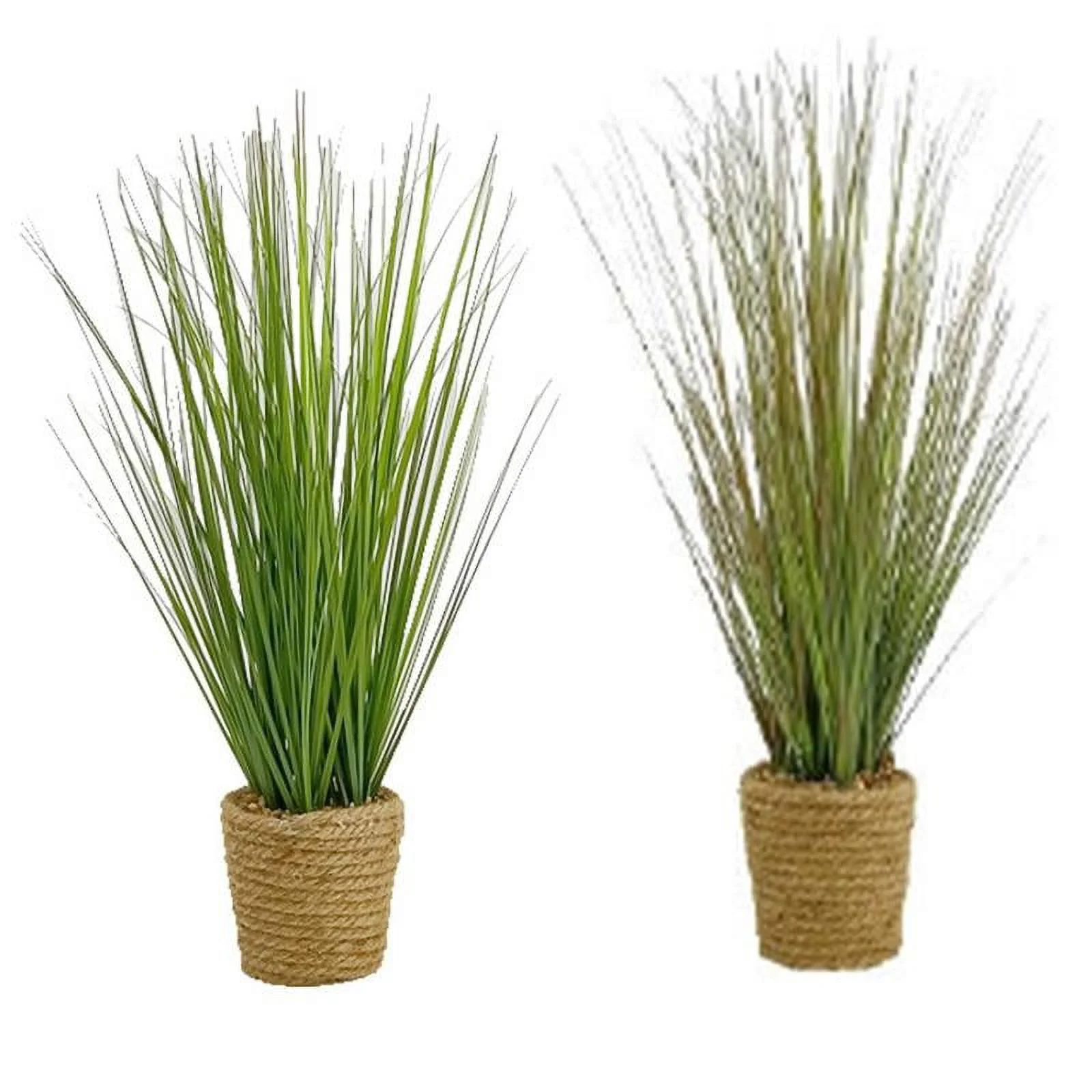 KOZIE LIFESTYLE 2 ASSORTED PLANTS IN TWINE BASKETS - PACK OF 2