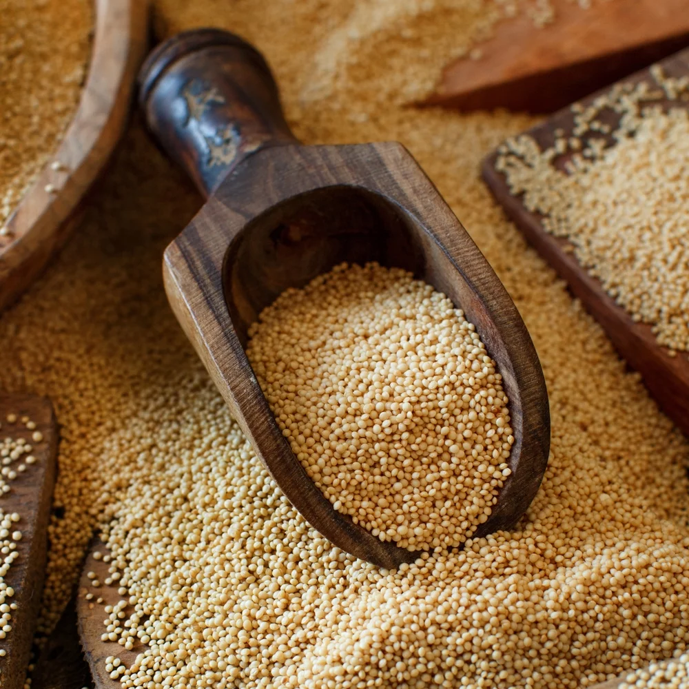 Earthcare Seeds - Amaranth Red Garnet 6,000 Seeds (Amaranthus Cruentus) Heirloom - Open Pollinated