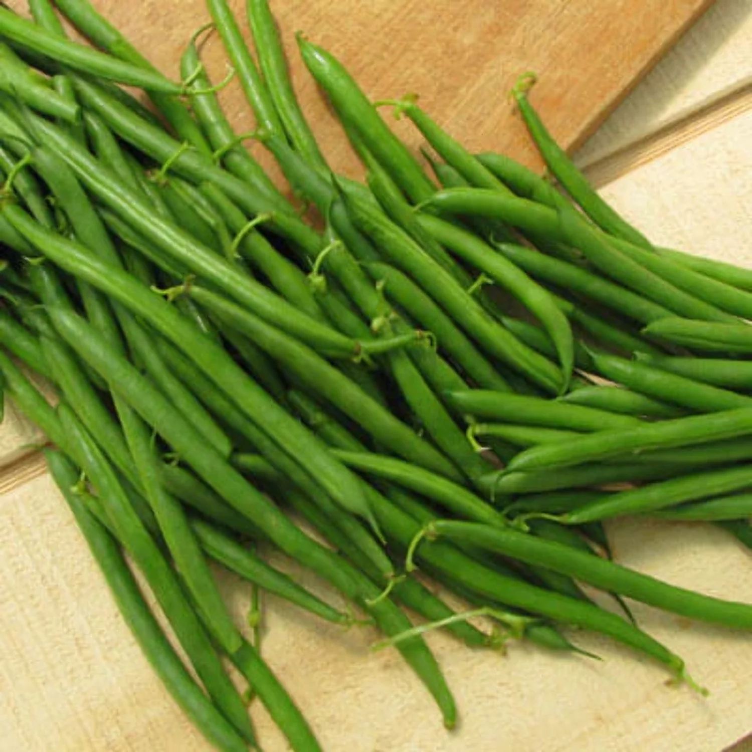 Bean Seeds - Lewis Variety Bean Seeds - Non-GMO - 100 Seeds