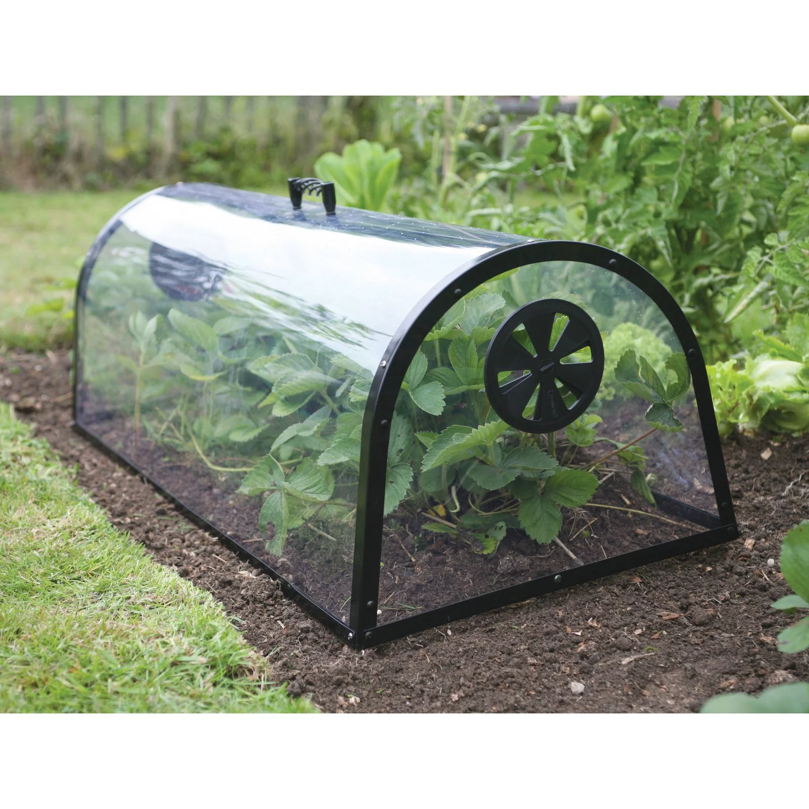 Haxnicks Kitchen Garden Cloche 39