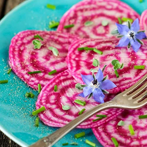 Organic Borage Plant, (Borago officinalis) in 2.5 inch Pot - Starflower Plant - Pollinator Friendly with Edible Flowers