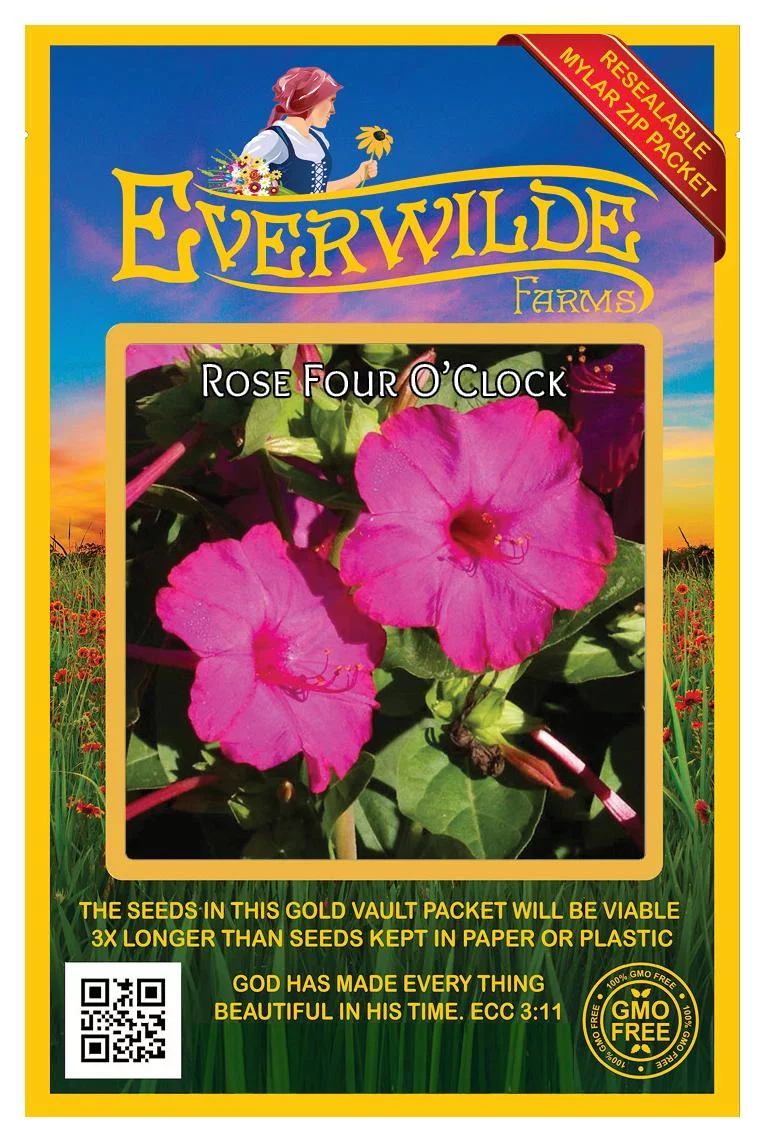 Everwilde Farms - 50 Rose Four O Clock Garden Flower Seeds - Gold Vault Jumbo Bulk Seed Packet