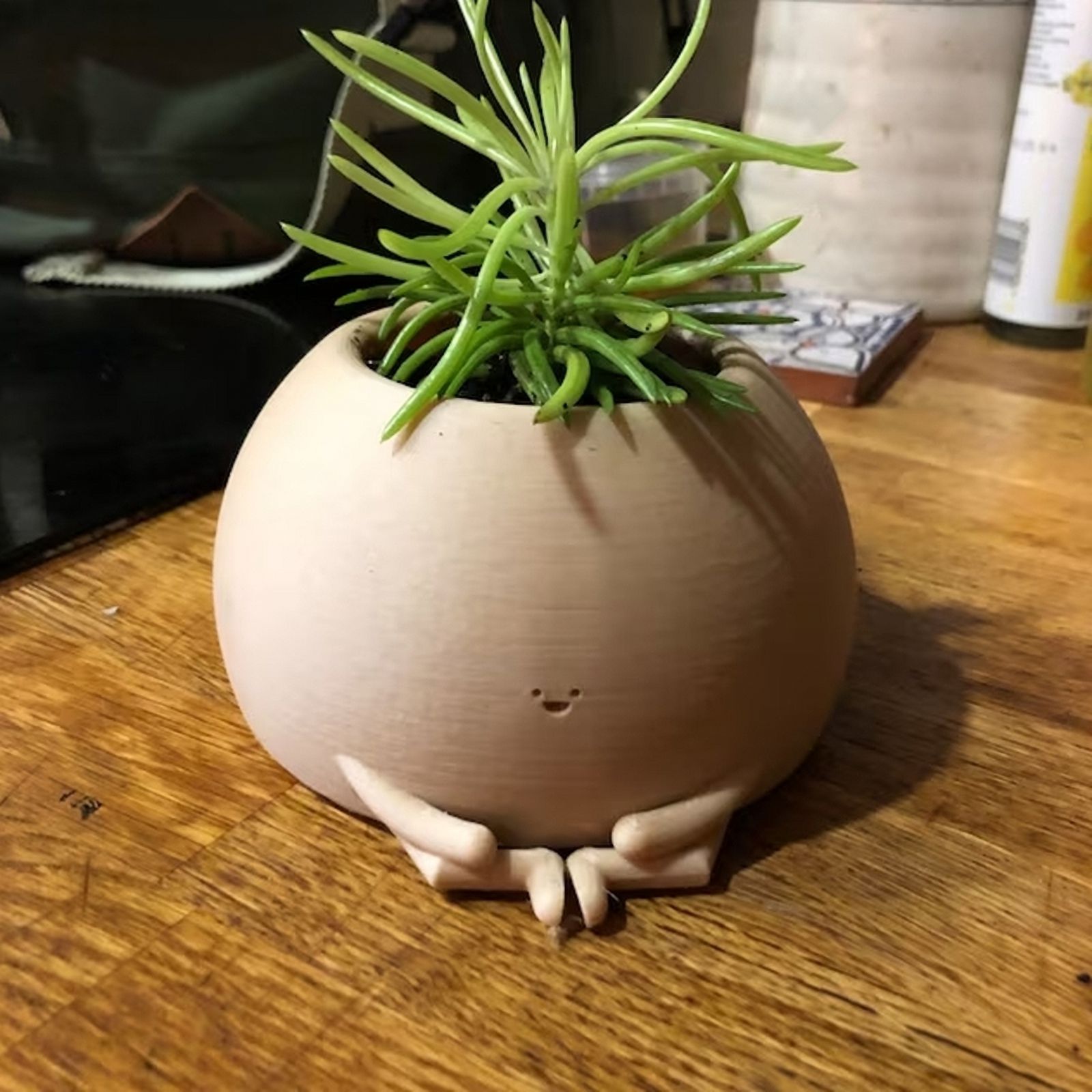Cute Sitting Planter Gardening Pot Small Plant Holder Air Plant Holder Plant Pots Flower Pots  Indoor Plants