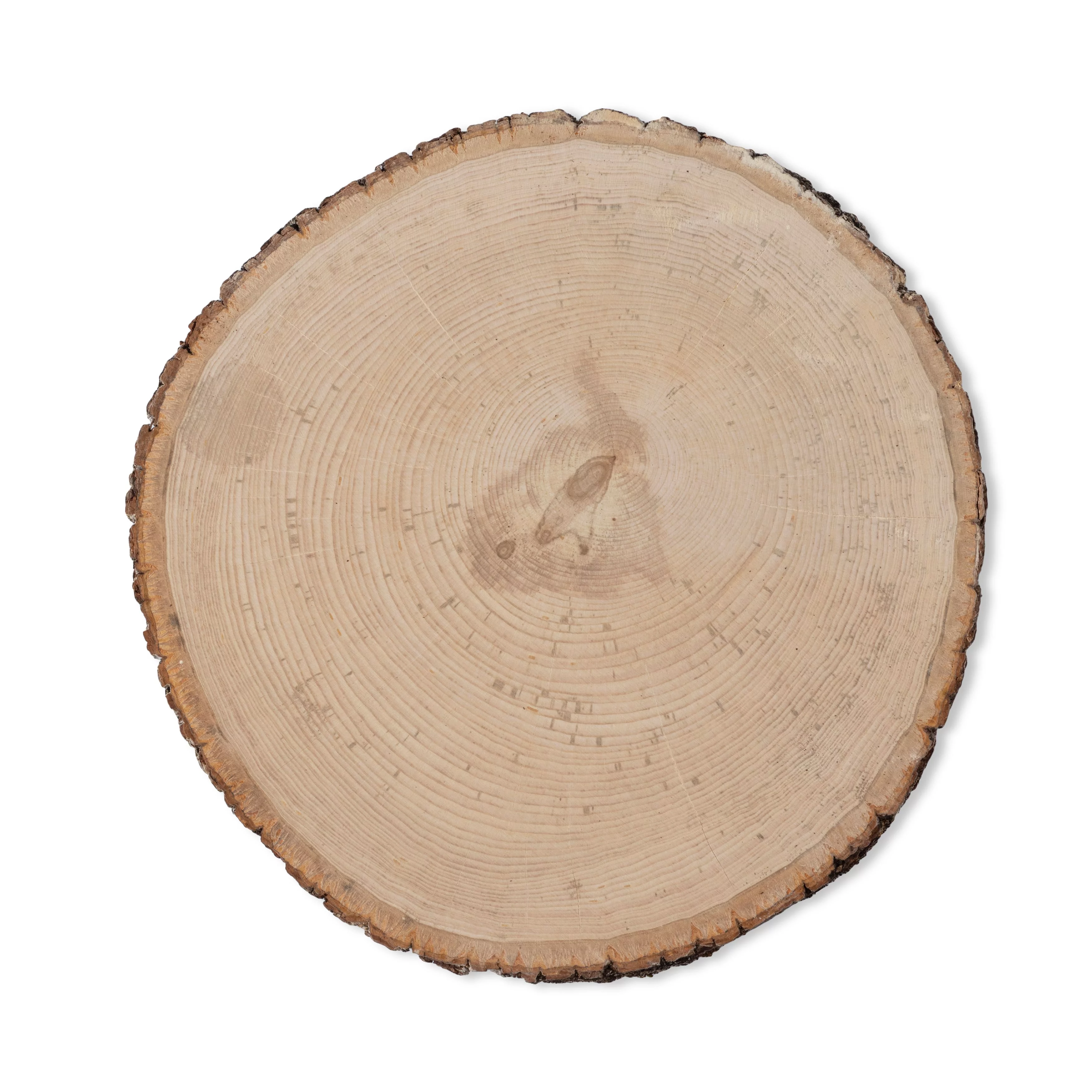 Walnut Hollow Basswood Rounds - Thick