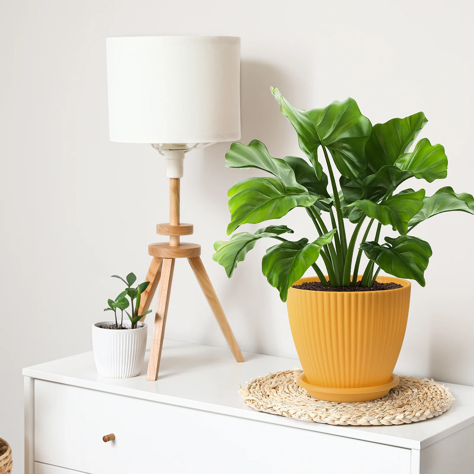 6-inch colorful striped plastic succulent planter with drain holes and dishes, set of 5 pots, various colors, garden decorations ( 5 Pack )