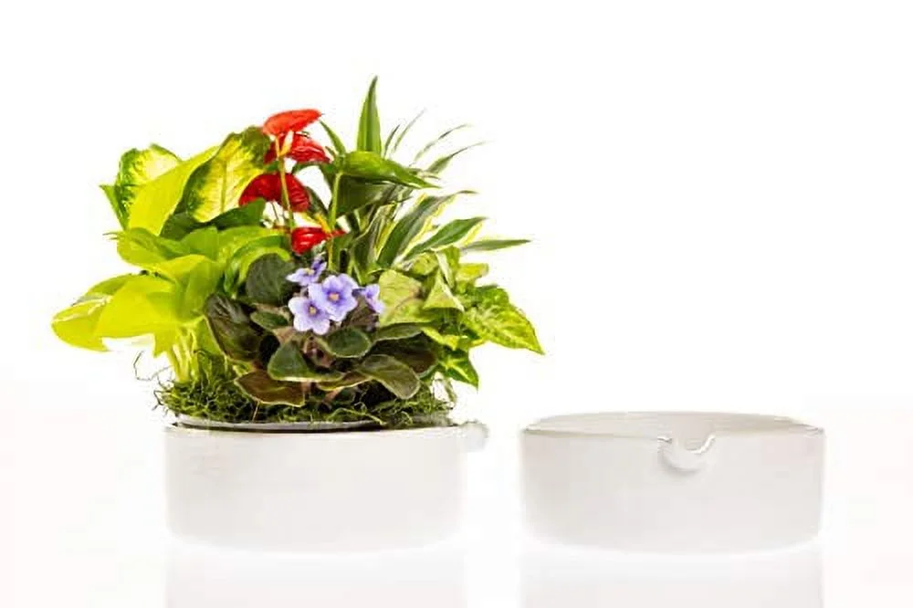 CBT Floral & Craft Chloe Ceramic Pot for Plant l 8.5